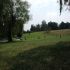 The Heath